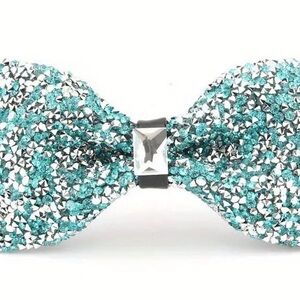 FESTIVAL SALE - Sparkling Teal and Silver Bow Tie